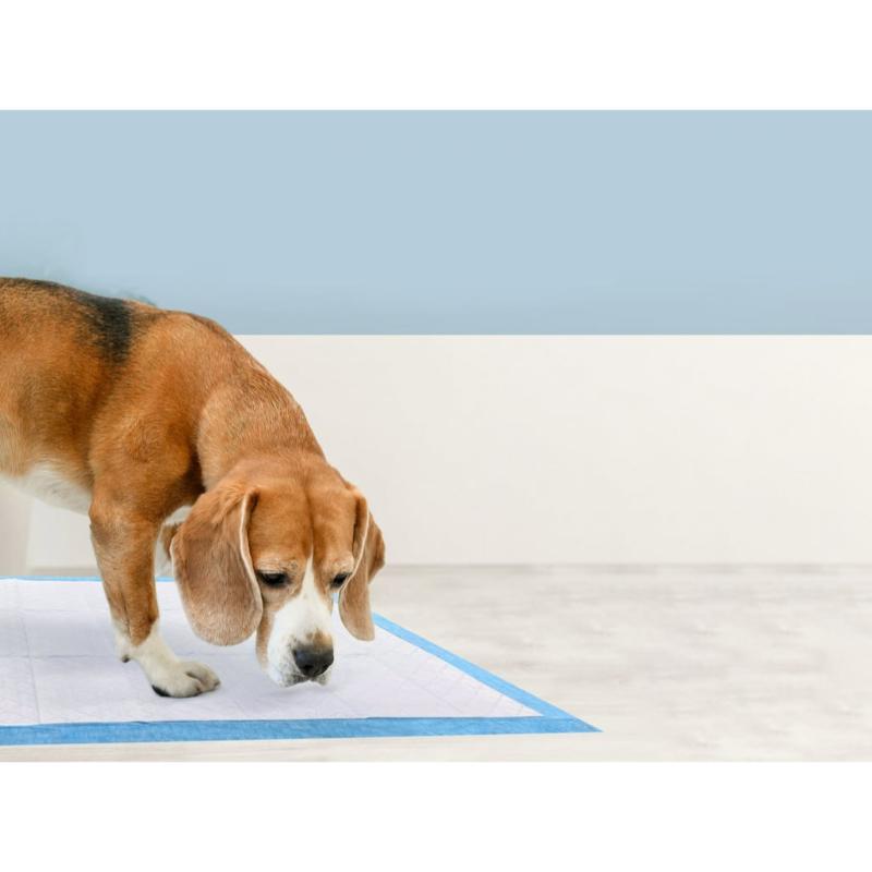 Wee Wee Pad De Control De Olor Para Mascotas - Farmacias Arrocha