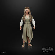 Star Wars The Black Series Reutrn Of The Jedi Princess Leia - Farmacias Arrocha