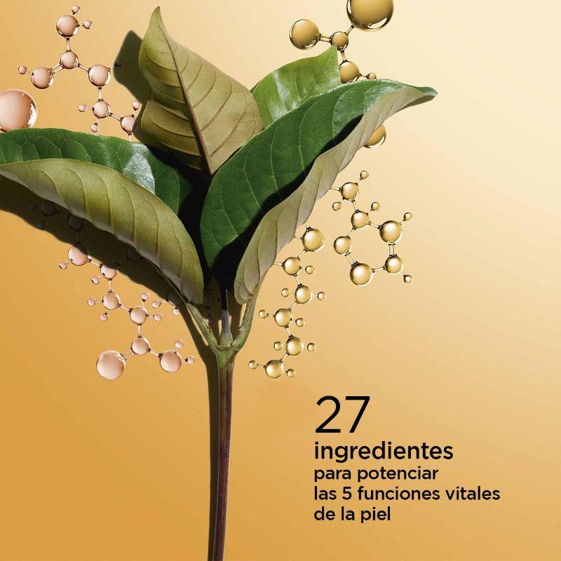 Clarins Double Serum 9 - Farmacias Arrocha