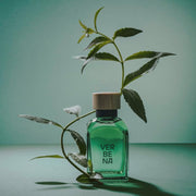 Adolfo Dominguez Agua Fresca Masculina Verbena Edt 120Ml - Farmacias Arrocha