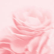 Payot Roselift Sculpting Night Cream 50ml - Farmacias Arrocha