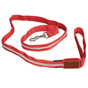 Correa De Seguridad Con Luz Led Paras Perros - Farmacias Arrocha