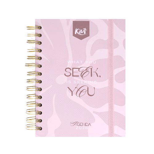 AGENDA DIARIA KIUT 26 Seek - Farmacias Arrocha