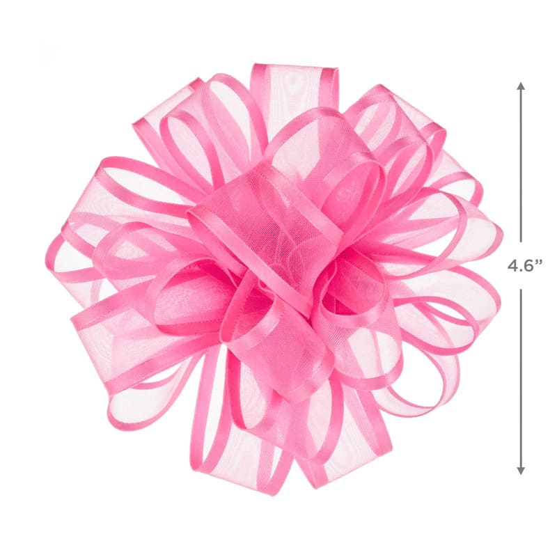 Hallmark Lazo De Regalo Cinta Transparente Fucsia 4.6" - Farmacias Arrocha
