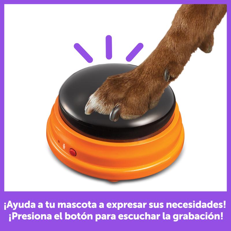 Brightkins Talking Pet : Set de Inicio - Farmacias Arrocha