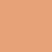 Clinique Polvo compacto Stay Matte™ 7.6 g - Farmacias Arrocha