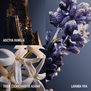 Phantom Intense Edp - Farmacias Arrocha