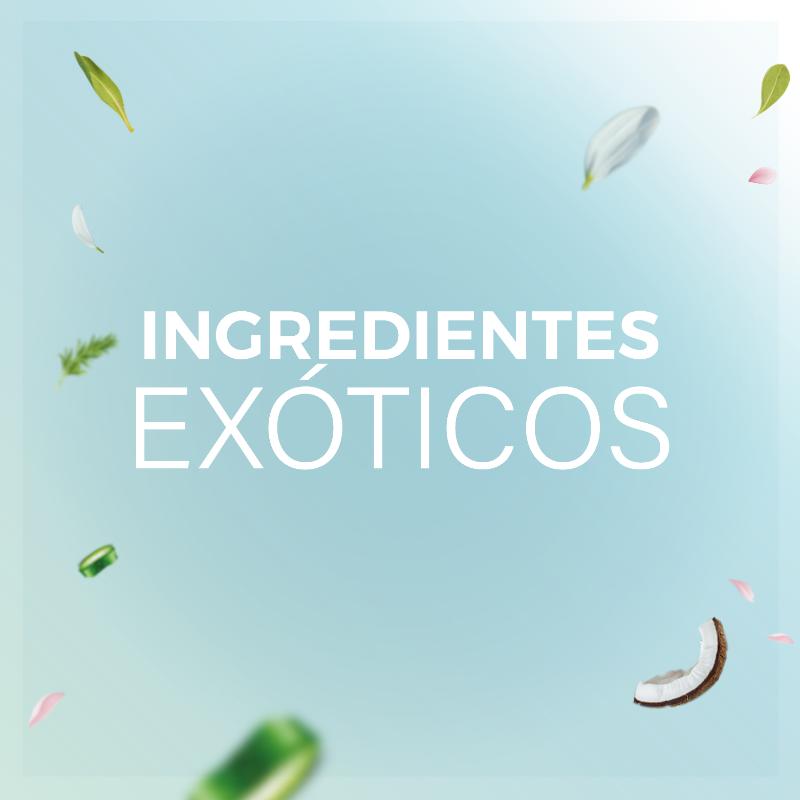 Terre De Vie Shampoo Aceite de Coco Rizos Definidos 400Ml - Farmacias Arrocha