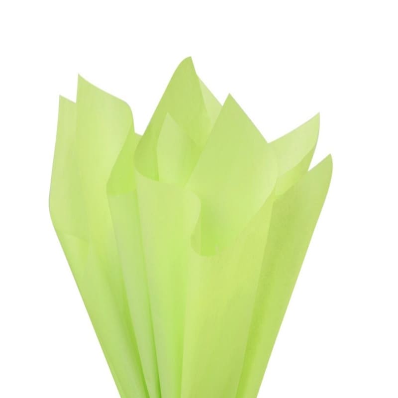 Hallmark Papel Tissue Verde 8U - Farmacias Arrocha