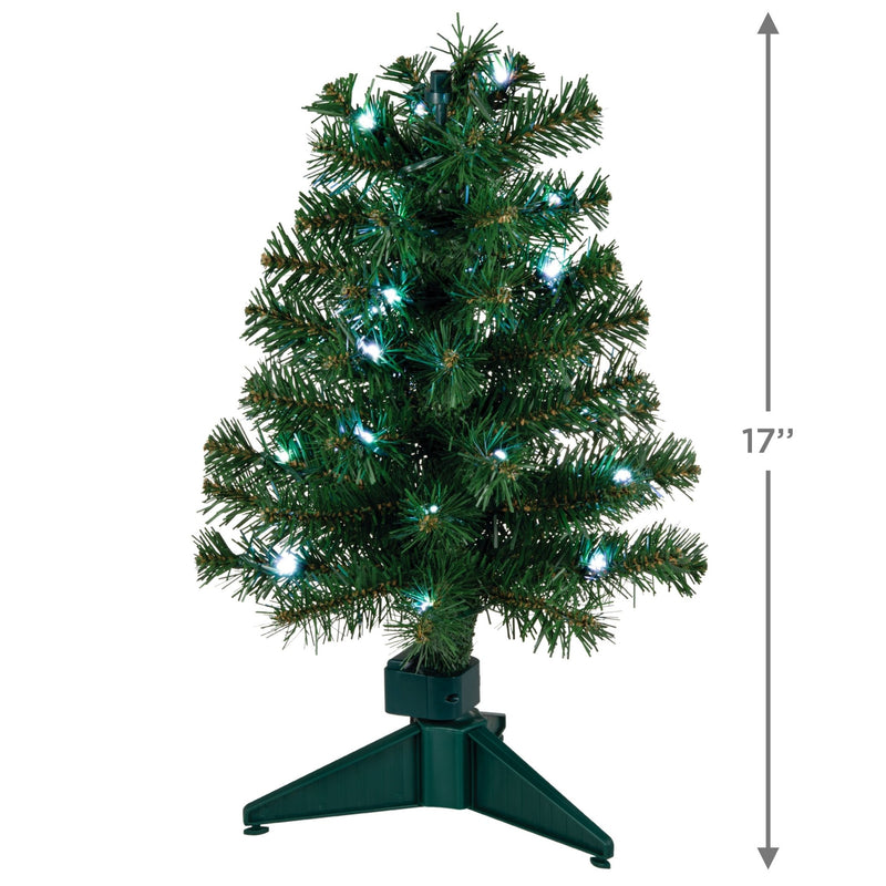 SHOWTOPPERS EVERGREEN MINI TREE - Farmacias Arrocha