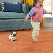 Fisher Price Pug Pasea Conmigo - Farmacias Arrocha