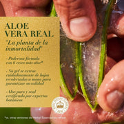 Shampoo Herbal Essences Bio:renew 6x Aloe & Sea Kelp Protección Del Color 400 ml - Farmacias Arrocha
