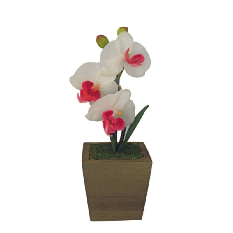 Aria Planta Artificial Orquidea Pote De Madera - Farmacias Arrocha