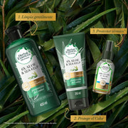 Shampoo Herbal Essences Bio:renew 6x Aloe & Sea Kelp Protección Del Color 400 ml - Farmacias Arrocha