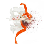 Ferragamo Signorina Unica EDP - Farmacias Arrocha