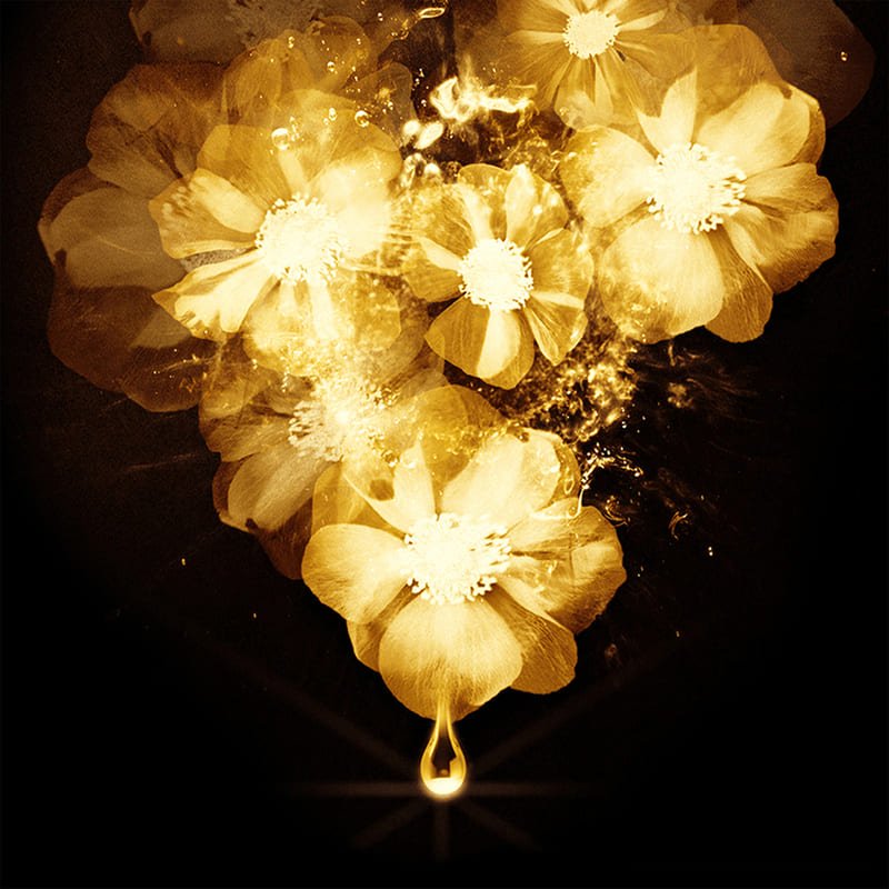 Tratamiento Loreal Paris Elvive Oleo Extraordinario 100Ml - Farmacias Arrocha