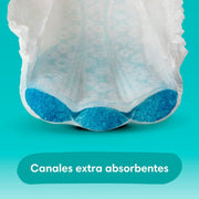 Pañales Pampers Baby Dry Talla 7, 54 unidades - Farmacias Arrocha