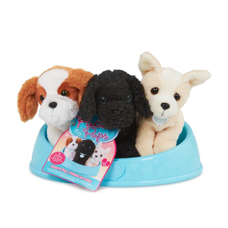 Pucci Pups - Farmacias Arrocha