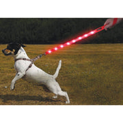 Correa De Seguridad Con Luz Led Paras Perros - Farmacias Arrocha
