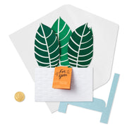 Hallmark Tarjeta Pop Up Plant - Farmacias Arrocha