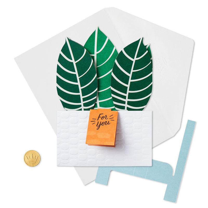 Hallmark Tarjeta Pop Up Plant - Farmacias Arrocha