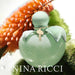 Nina Ricci Nina Nature EDT - Farmacias Arrocha