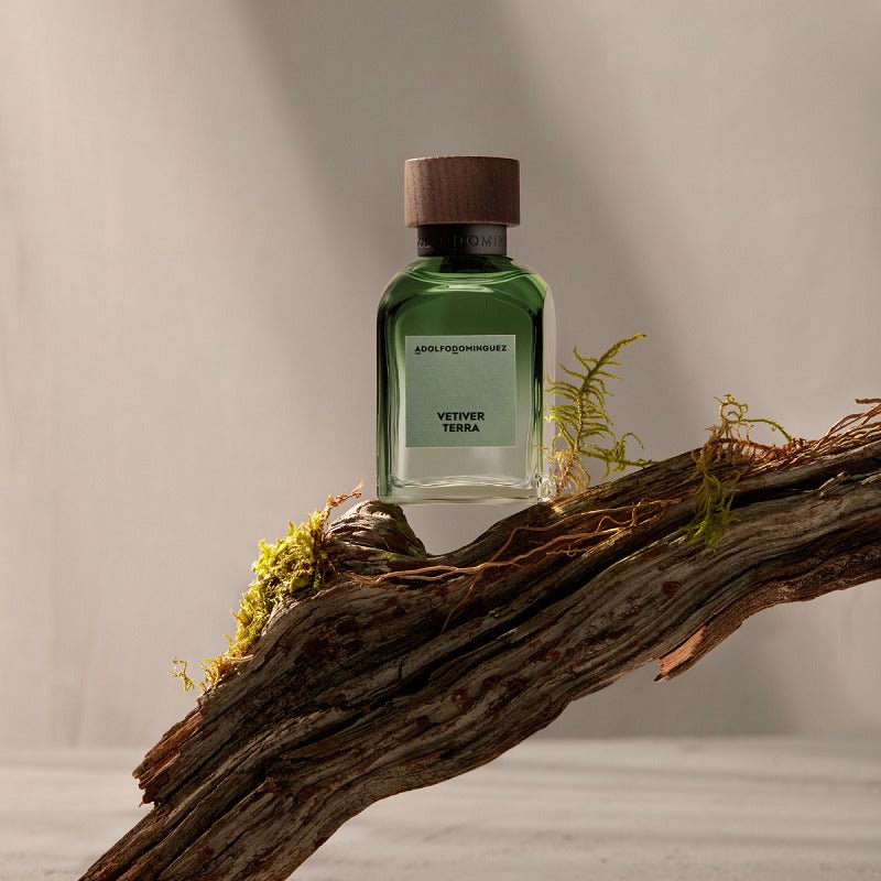 Adolfo Dominguez Vetiver Terra Edp 120 Ml - Farmacias Arrocha