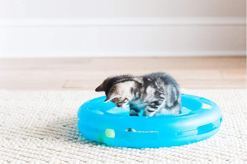 Fat Cat Disco De Juego Para Gatos - Farmacias Arrocha
