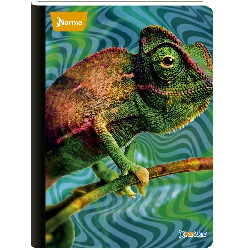 Norma Cuaderno Cosido Grande X-Presarte M 160P R/A - Farmacias Arrocha