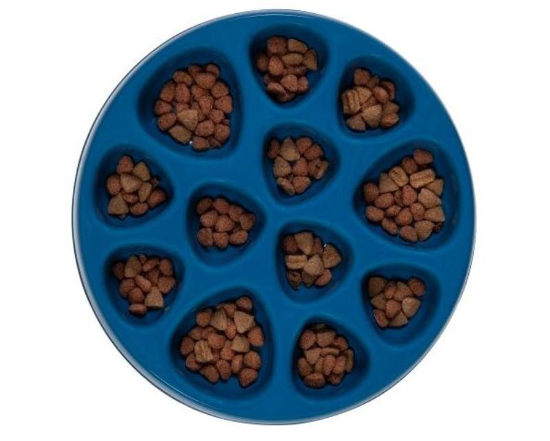 Petmate Plato Para Alimentación Lenta - Farmacias Arrocha