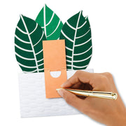 Hallmark Tarjeta Pop Up Plant - Farmacias Arrocha