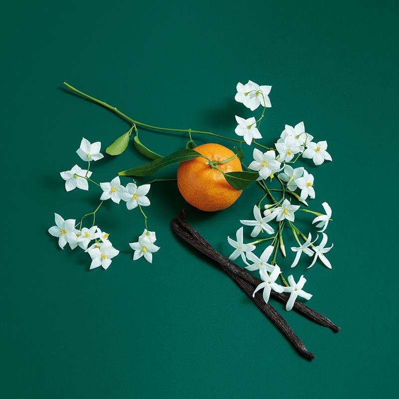 Benetton Sisterland Eau De Toilette Green Jasmine - Farmacias Arrocha