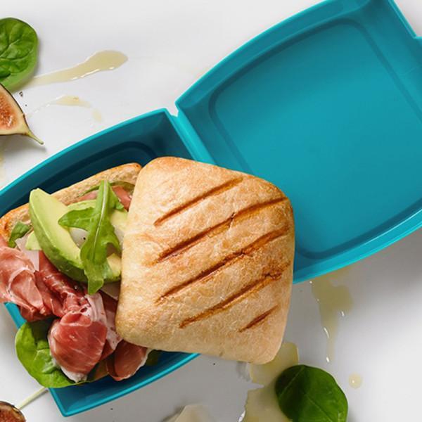 Trudeau 8oz. Sandwich Container - Blue