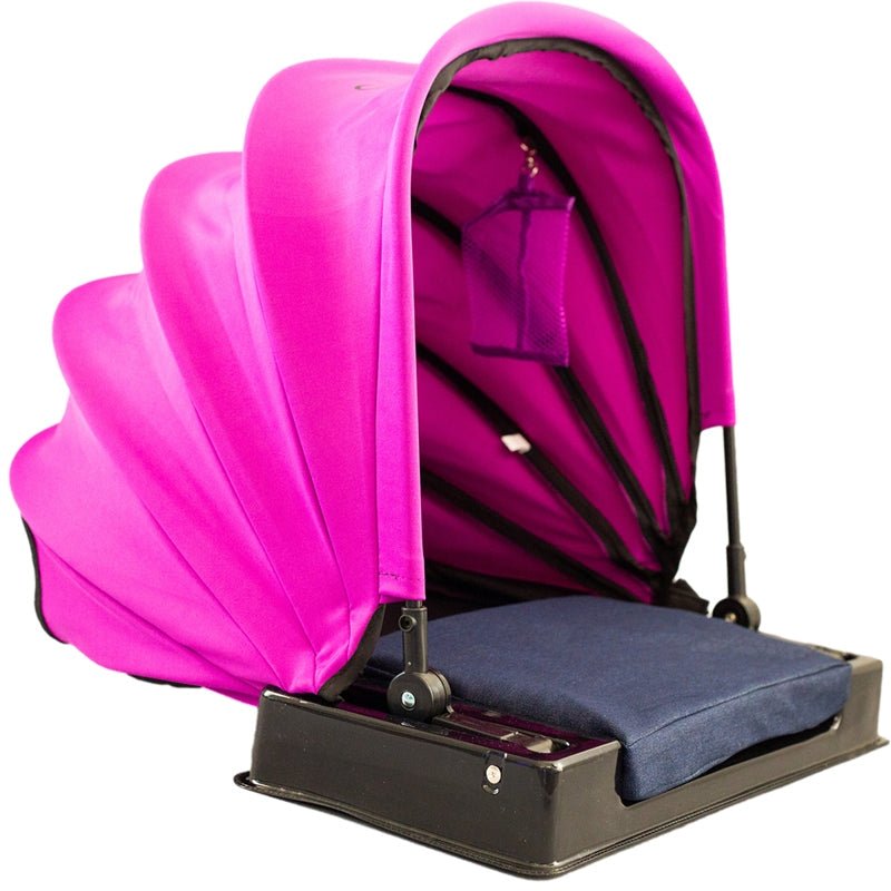 Silla De Playa