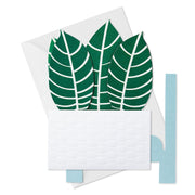 Hallmark Tarjeta Pop Up Plant - Farmacias Arrocha