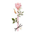 Nina Ricci Rose Garden Eau De Toilette 50 Ml - Farmacias Arrocha