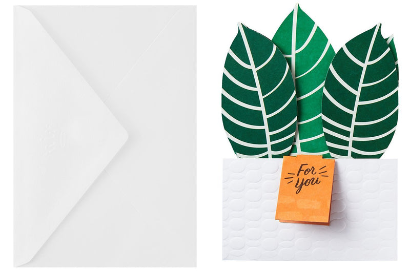 Hallmark Tarjeta Pop Up Plant - Farmacias Arrocha