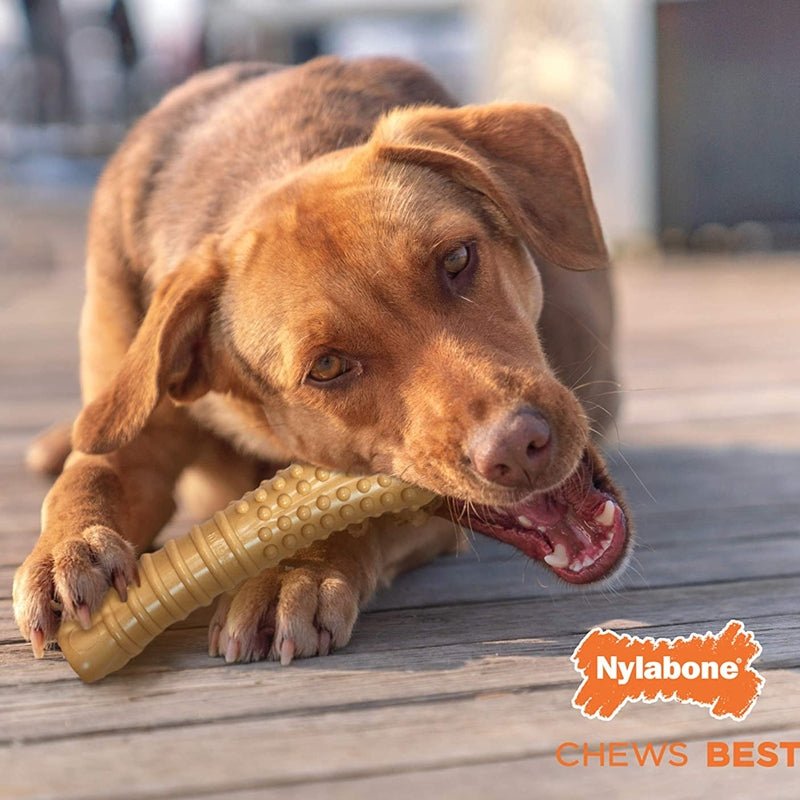 Nylabone Juguete en Forma de Hueso Texturisado Sabor Mantequilla de Mani - Farmacias Arrocha