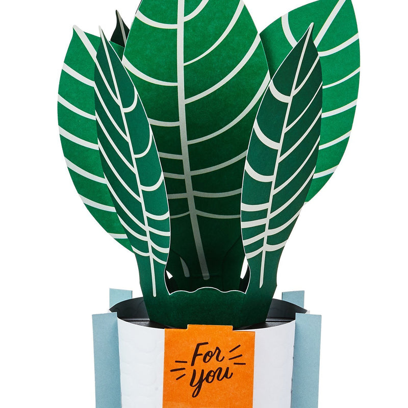 Hallmark Tarjeta Pop Up Plant - Farmacias Arrocha