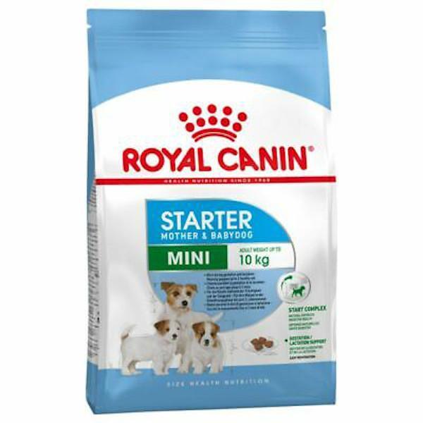 Royal Canin Shn Mini Starter Mother 6 Baby Dog 1K - Farmacias Arrocha