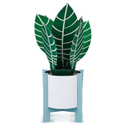 Hallmark Tarjeta Pop Up Plant - Farmacias Arrocha