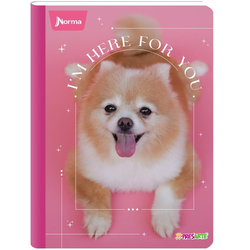 Norma Cuaderno Cosido Grande X-Presarte F 160P R/A - Farmacias Arrocha