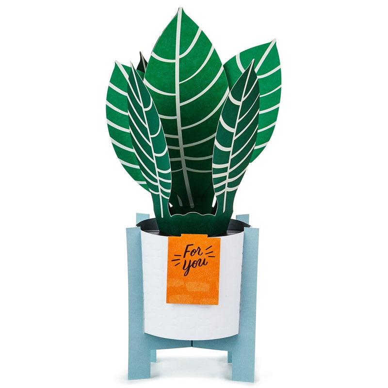 Hallmark Tarjeta Pop Up Plant - Farmacias Arrocha