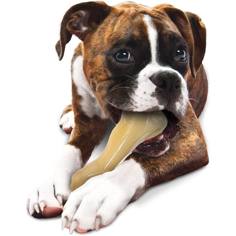 Nylabone Masticables Big Power - Farmacias Arrocha