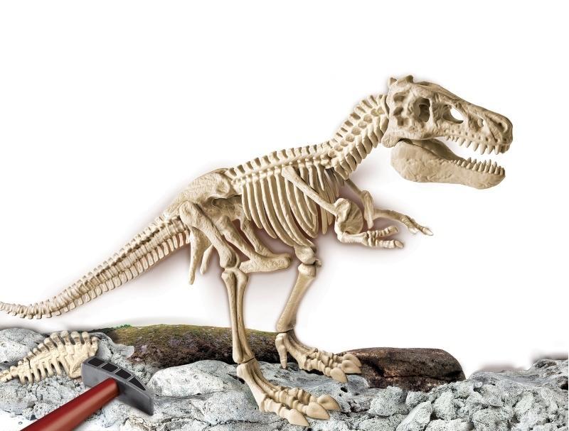 Clementoni Arqueojugando El esqueleto del Gran T-Rex - Farmacias Arrocha