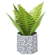 Hallmark Tarjeta Plants - Farmacias Arrocha